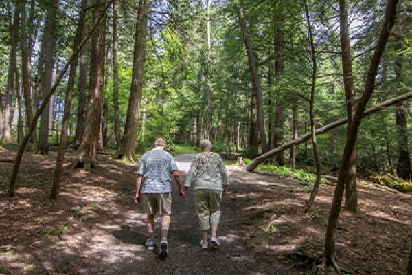 10% Off for AAA Members