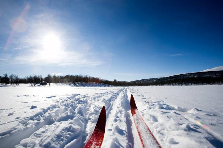 Cross-Country Skis in Snow